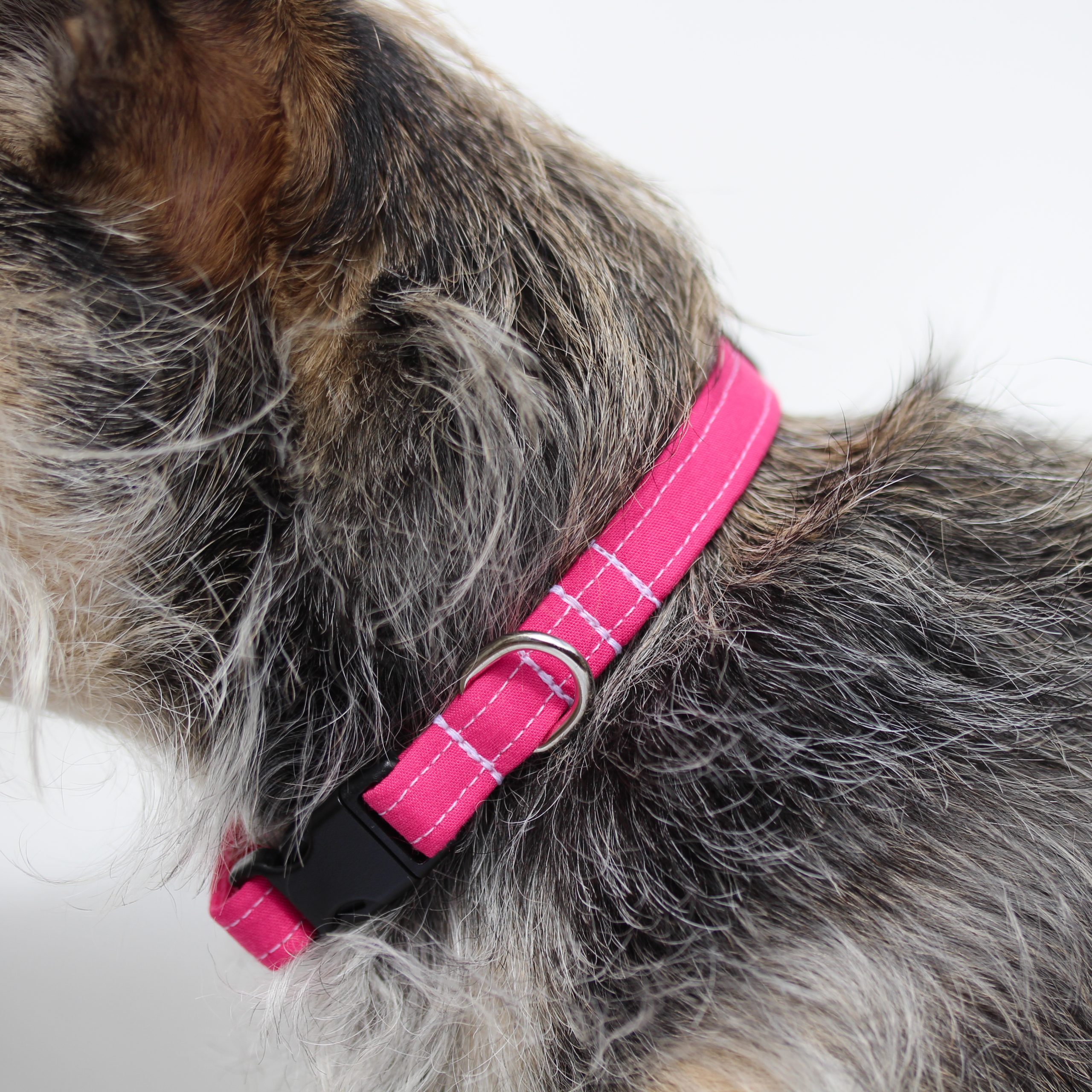 Bright Pink Dog & Puppy Collar